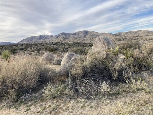 rock formation Pilgrim Psalms: Songs of Ascents