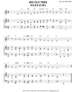 big_old_tree BIG OLD TREE