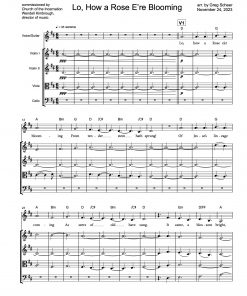 Lo, How a Rose E'er Blooming