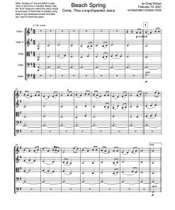 beach_spring-strings BEACH SPRING – strings